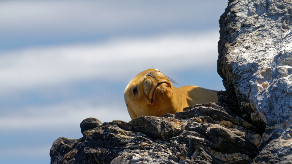 03 - La Serena (17).jpg